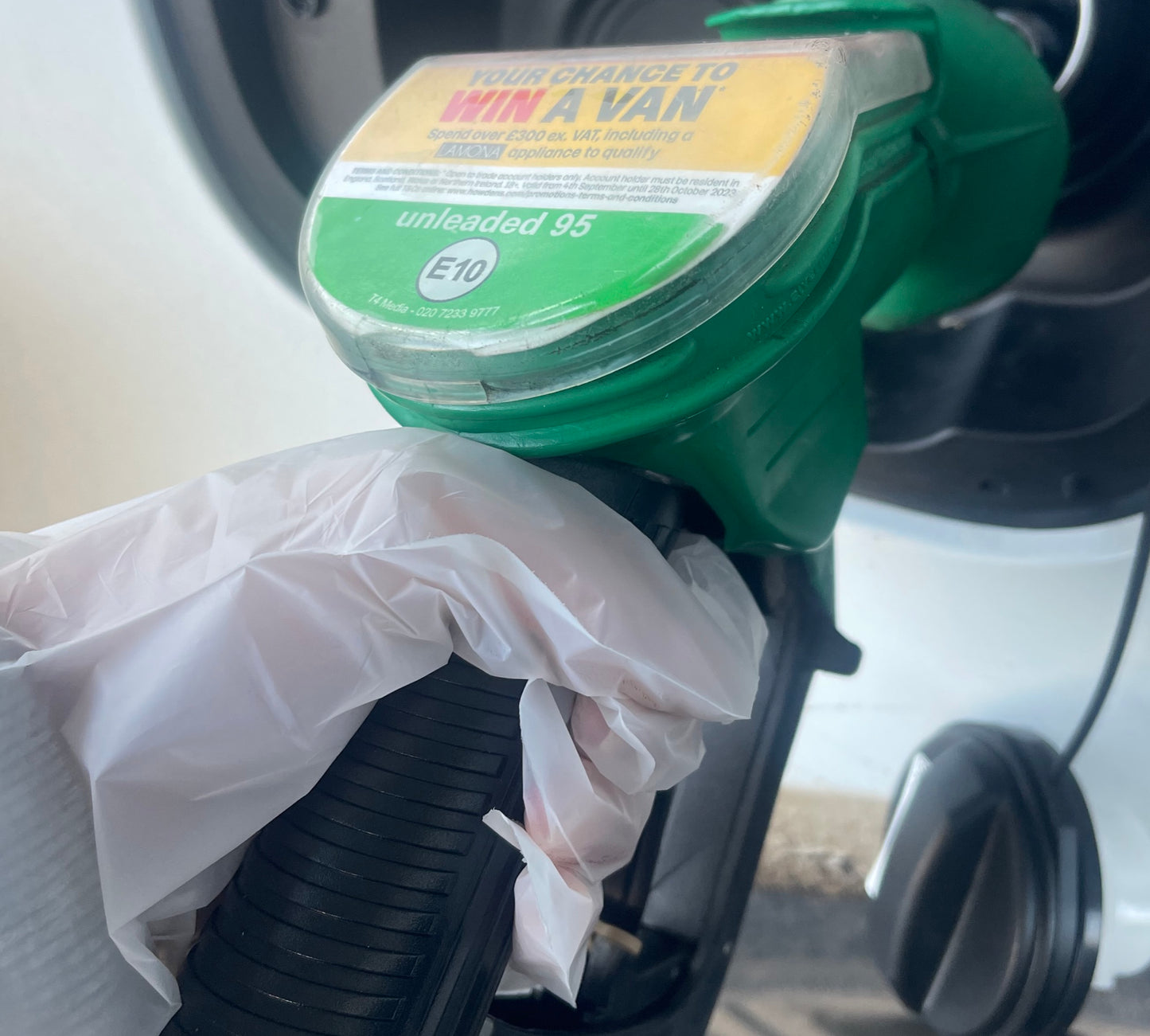 Disposable, 100% Compostable, Food Safe Gloves